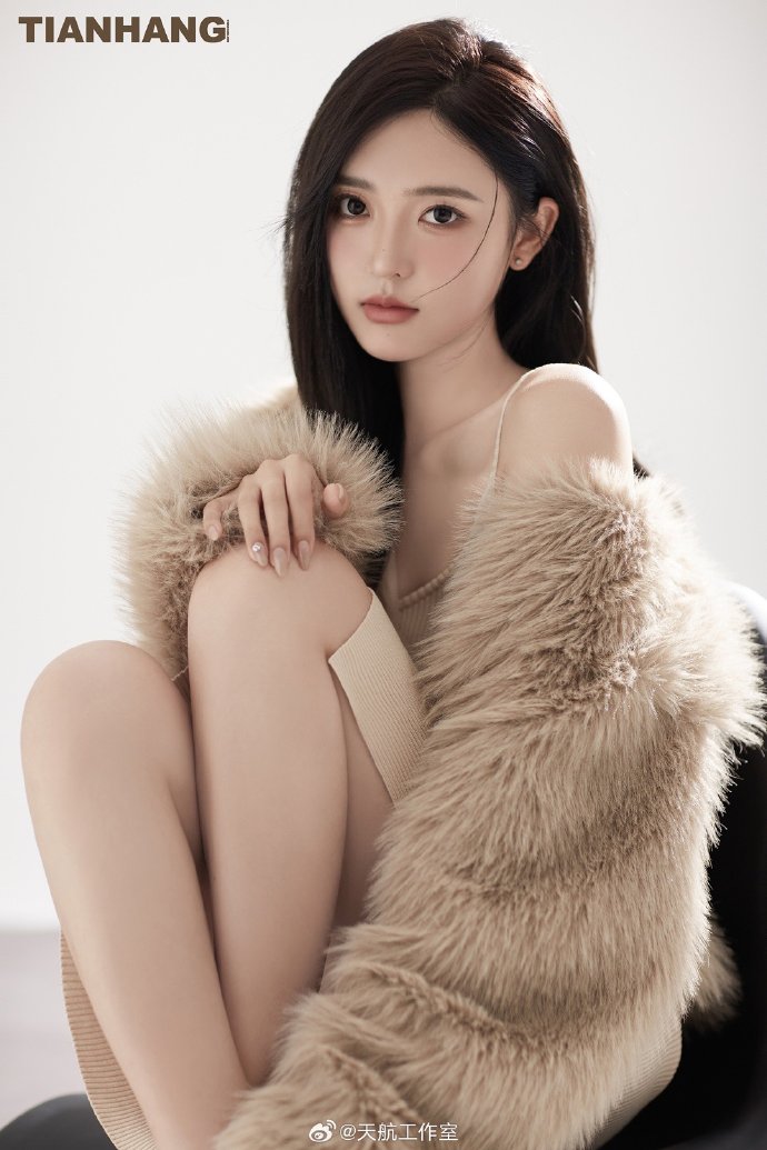 甄嬛传 封面